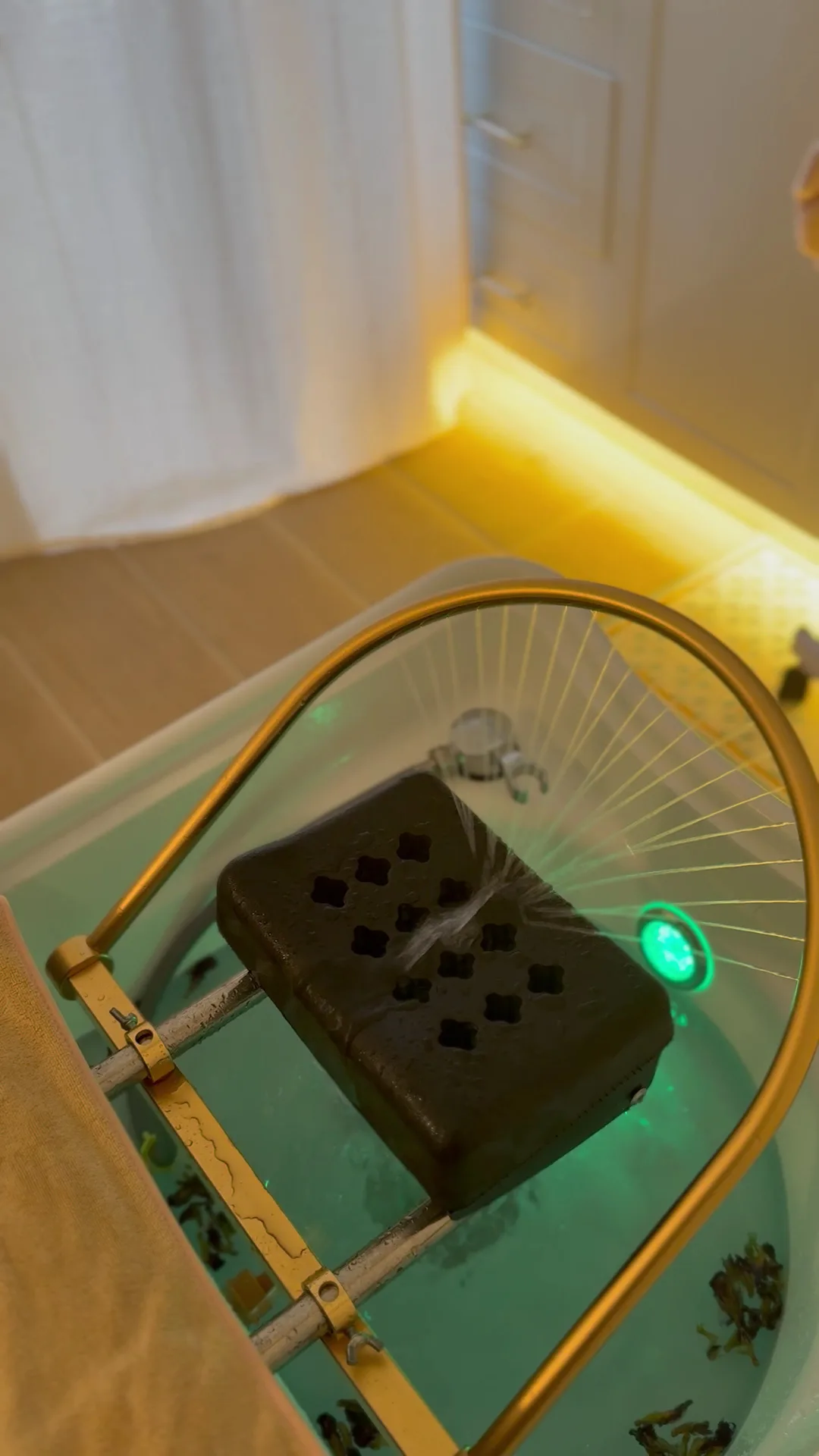 The gold water-halo device misting fibre-optic water over a butterfly-pea herbal basin under warm LED light